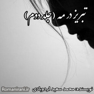 دانلود رمان تبریز در مه (جلد دوم)