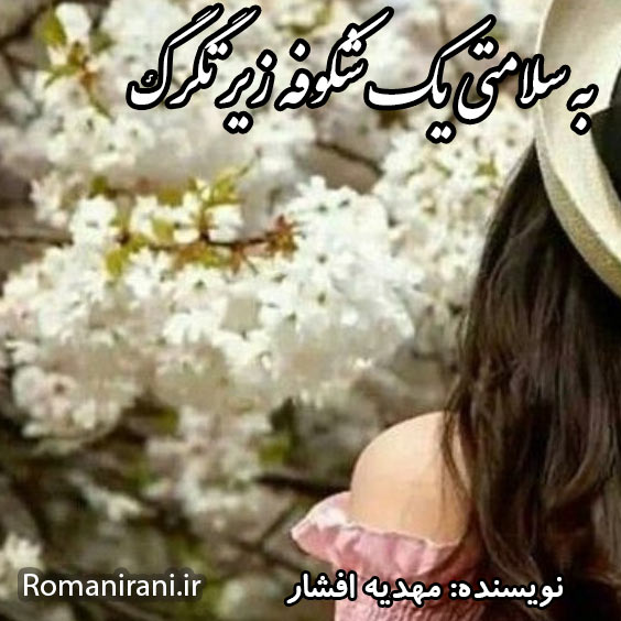 دانلود رمان به سلامتی یک شکوفه زیر تگرگ از مهدیه افشار