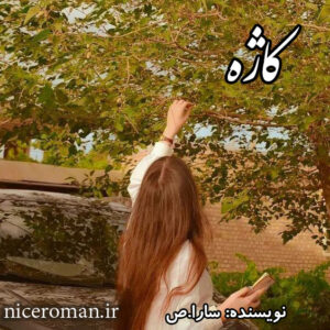 دانلود رمان کاژه