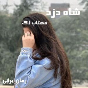 دانلود رمان شاه دزد