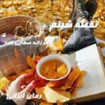 دانلود رمان نقطه شبنم از فرزانه صفایی فرد