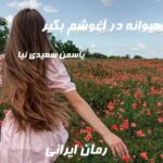 دانلود رمان دیوانه در آغوشم بگیر از یاسمن سعیدی نیا